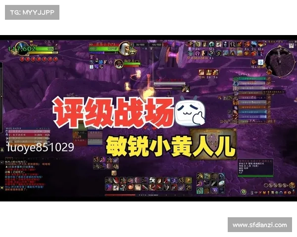 魔兽世界战场升级技巧，迅速提升等级与技能